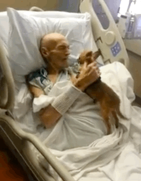 A Dying Man's Wish Was To Be Reunited With His Beloved Dog 