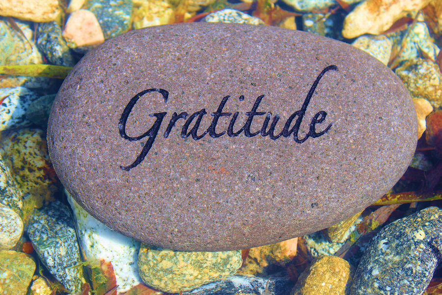 How Gratitude Changes the Brain – By Sarah Chauncey