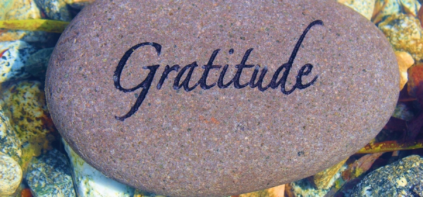 How Gratitude Changes the Brain - By Sarah Chauncey